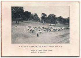 Ápoljuk legelőinket! - Régi képeslapfüzet mezőgazdasági munkálatokkal, 16 képeslappal: Mőcsény, Alsó...