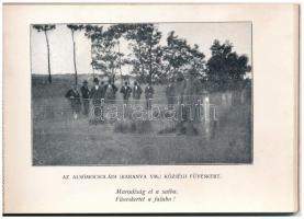 Ápoljuk legelőinket! - Régi képeslapfüzet mezőgazdasági munkálatokkal, 16 képeslappal: Mőcsény, Alsó...