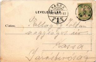 1906 Torna, Abaúj-Torna, Turnau, Turna nad Bodvou; Fő utca, Steinberger Ignác üzlete és saját kiadás...