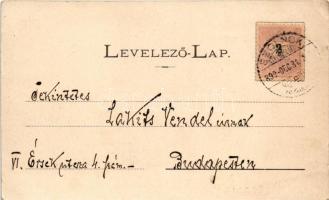 1899 (Vorläufer) Szolnok, Tisza part, faúsztatás, templomok, zsinagóga. Szigeti H. kiadása (EK)