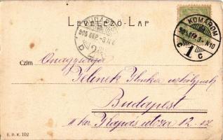 1905 Komárom, Komárnó; Erzsébet szigeti főút / Haupt Allee (Elisabeth Insel) / Alzbetínsky ostrov (E...