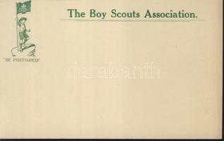 The Boy Scouts Association