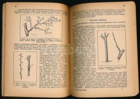 Horn János: Alma termesztése. Növényvédelem és kertészet könyvtára. 1936, Növényvédelem és Kertészet...