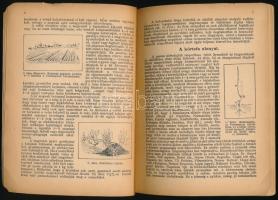 Horn János: Körte termesztése. Növényvédelem és kertészet könyvtára. 1936, Növényvédelem és Kertésze...