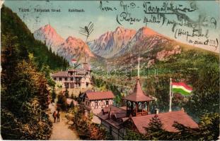 1916 Tátra, Magas-Tátra, Vysoké Tatry; Tarpatakfüredi szálloda, magyar zászló. Feitzinger Ede Ph. No. 489. / Kohlbach / spa hotel, Hungarian flag (EB)