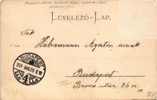 1901 Tátra, Magas-Tátra, Vysoké Tatry; Tarpatak-füred a Lomnici csúccsal / Hotel Kohlbach m. Lomnitz...