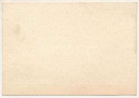 1939. 2P értékű "Magyar Asszonyok Nemzeti Szövetsége Miskolc" tagsági jegy bélyegzéssel T:...