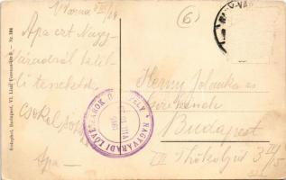 1915 Viribus Unitis / Első világháborús osztrák-magyar és német propaganda címerekkel / WWI K.u.k. a...