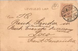 1899 (Vorläufer) Jégvirágok IX. Korcsolyázó Art Nouveau hölgyek / Eisblumen / Frostwork, ice skating...