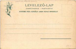 Tátraszéplak, Tatranska Polianka, Westerheim (Magas-Tátra, Vysoké Tatry); Weszterlak, Marianna nyara...