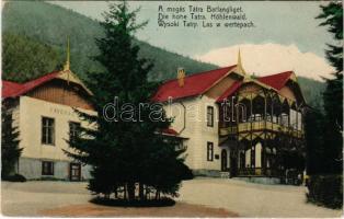 1911 Barlangliget, Höhlenhain, Tatranská Kotlina (Tátra, Magas-Tátra, Vysoké Tatry); kávéház, társalgó, bazár / café, hotel, casino, bazaar (fa)