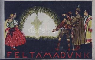 Scouting Irredenta with hungarian folkwear