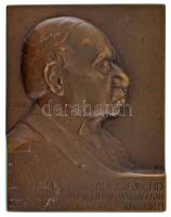 Csillag István (1881-1968) 1913. "lovag Falk Zsigmond 70 éves nyomdászságának emlékére" bronz emlékplakett (47x60mm) T:AU,XF