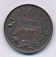 ~1900. "A Vasmegyei Gazdasági Egyesület / Érdem Érem" bronz érem (35mm) T:AU