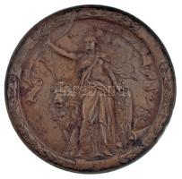 Románia 1891. "I. Károly uralkodásának 25. évfordulója" bronz emlékérem. Szign.: Anton Sch...