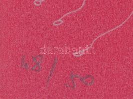 Várnagy Ildikó (1944-): Lények (cím nélkül). Ofszet-litográfia, papír, jelzett és számozott (48/50)....