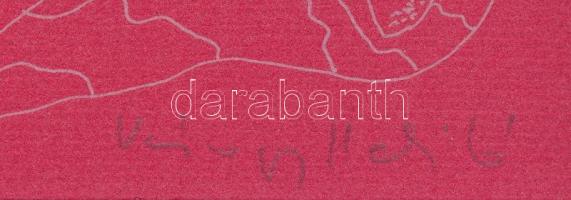 Várnagy Ildikó (1944-): Lények (cím nélkül). Ofszet-litográfia, papír, jelzett és számozott (48/50)....