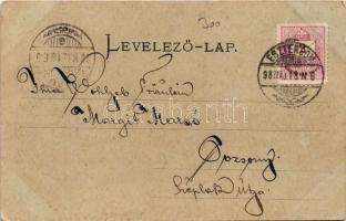 1898 (Vorläufer) Esztergom, látkép, Bazilika (EK)