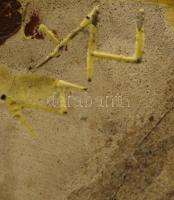 Gorka Géza (1894-1971): Hamuzó. Mázas festett kerámia, jelzett (Nógrádverőce), ragasztott, sérült, 9...