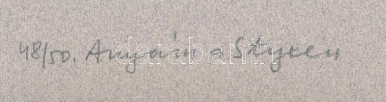 Jámborné Balog Tünde (1938-): Anyám a Styxen. Ofszet-litográfia, papír, jelzett és számozott (48/50)...