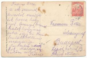 Trencsénteplic, Trencianske Teplice; nyaralók. Wertheim Zsigmond kiadása / villas (fl)