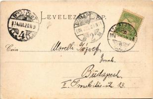 1904 Tátra, Magas-Tátra, Vysoké Tatry; Kohlbach szálloda, Lomnici-csúcs / Hotel Kohlbach m. Lomnitze...