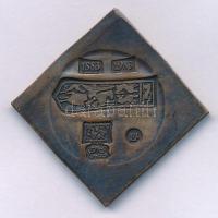 Lapis András (1942- ) 1983. "Százéves a Szegedi Móra Ferenc Múzeum" kétoldalas bronz csege...