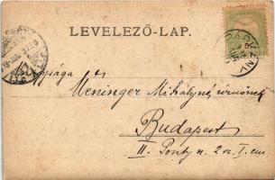 1903 Esztergom, Fő tér, háttérben Bazilika, Till István, Krausz Samu, marosi József és fia üzlete. S...