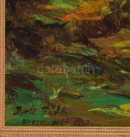 Bak Péter (1950-): Erdő patakkal. Olaj, farost, jelzett, hátoldalán autográf felirattal. Dekoratív, ...