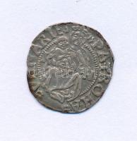 1506K-H Denár Ag "II. Ulászló" (0,46g) T:XF patina
Hungary 1506K-H Denar Ag "Wladisl...