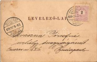 1899 (Vorläufer) Nyíregyháza, Kállai utca, Hoffmann B. Béla üzlete és saját kiadása (szakadás / tear...