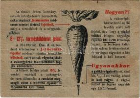 A cukorrépa Jarmosenko fejelési módszere. Magyar mezőgazdasági propaganda. Kérjen a répafelelőstől szállítási tervjegyet! / Hungarian agricultural propaganda, sugar beet (fa)