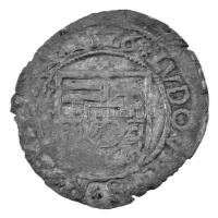 1526N-A Denár Ag "II. Lajos" (0,46g) T:VF patina
Hungary 1526N-A Denar Ag "Louis II&...