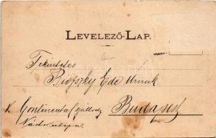 1901 Siófok, Fürdőház, fürdőzők. Wlaszlovits Gusztáv kiadása (lyuk / pinhole)