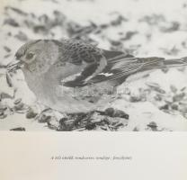 Schmidt Egon. Erdőn mezőn nyitott szemmel. Bp., 1977., Natura. Fekete-fehér fotókkal. Kiadói kartoná...