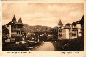 Szovátafürdő, Baile Sovata; Calea principala / Fő út, nyaralók. Eugen Vas kiadása / main street, villas