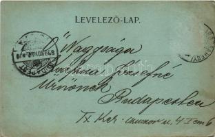 1899 (Vorläufer) Rózsahegy, Ruzomberok; látkép, zsinagóga / general view, synagogue (EK)