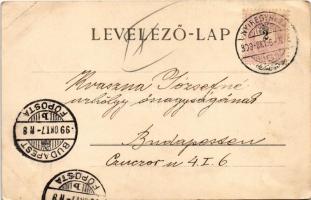 1899 (Vorläufer) Nyíregyháza, Városháza, Schatz Károly, Bacher Gyula, Horn K., Ferenczi, Deutsch Sám...