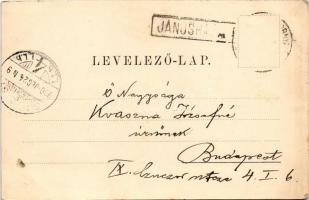 1900 Jánosháza, Fürdőház, Spitzer Samu üzlete és saját kiadása (apró szakadás / tiny tear)