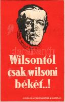 1920 Wilsontól csak wilsoni békét...! Országos Propaganda Bizottság / Woodrow Wilson, Hungarian irredenta propaganda + "Repülőposta!" + "Légi Posta Megnyitás - Rákosi Repülőnap 1921. nov. 7." So. Stpl. (vágott / cut)