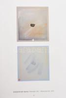 Modern Magyar Képtár II. (1890-1955-2003). Pécs, 2003, Janus Pannonius Múzeum. Kiadói papírkötés, jó...