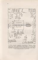 Siklóssy László: Az országgyűlési beszéd útja. Kornis Gyula előszavával. Budapest, 1939. Királyi Mag...