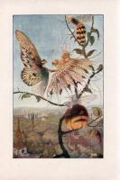 Benedek Elek: 
A csudafa. Mesék. Jaschik Álmos színes képeivel.
Budapest, 1927. Aczél Testvérek - ...