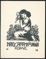 Haranghy Jenő (1894-1951): Nagy Aranka könyve (szecessziós ex libris), klisé, papír, jelzett a klisén, 10x8 cm