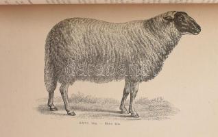 Kozák László: Juhtenyésztés. Bp., 1921, Pallas. 2. kiadás. Szövegközti illusztrációkkal. Kiadói papí...