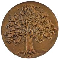 Borsos Miklós (1906-1990) 1979. "Fa és Papír Ipari Szövetkezetek Szövetsége" kétoldalas br...