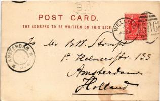 1903 London, Lambeth Palace, steamship (fl)