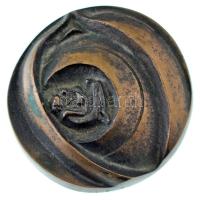 1984. "TÜSZ SZT - Termő Ékes Ág - Békéscsaba" kétoldalas bronz emlékplakett (52mm) T:AU patina