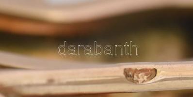 Arany (Au) 14K zománcfestett vadkacsa bross, jelzett, 5,8×3 cm, bruttó: 5,5 g