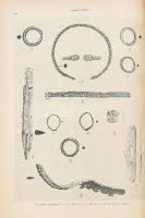 Bakay Kornél: Honfoglalás és államalapítás-kori temetők az Ipoly mentén. A szerző, Bakay Kornél (194...